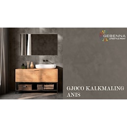 ANIS KALKMALING NY.jpg